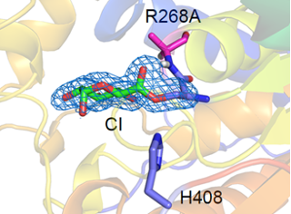 From Zong et al Nature communications 13,1449 (2022)